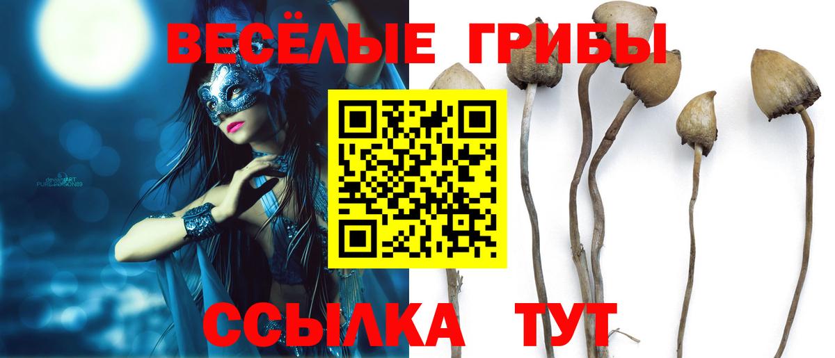 Галлюциногенные грибы Psilocybine cubensis  Вход с VPN  Валуйки 